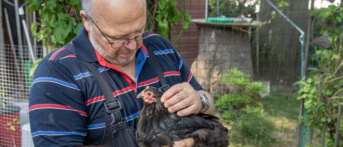 Hausmeister mit Huhn